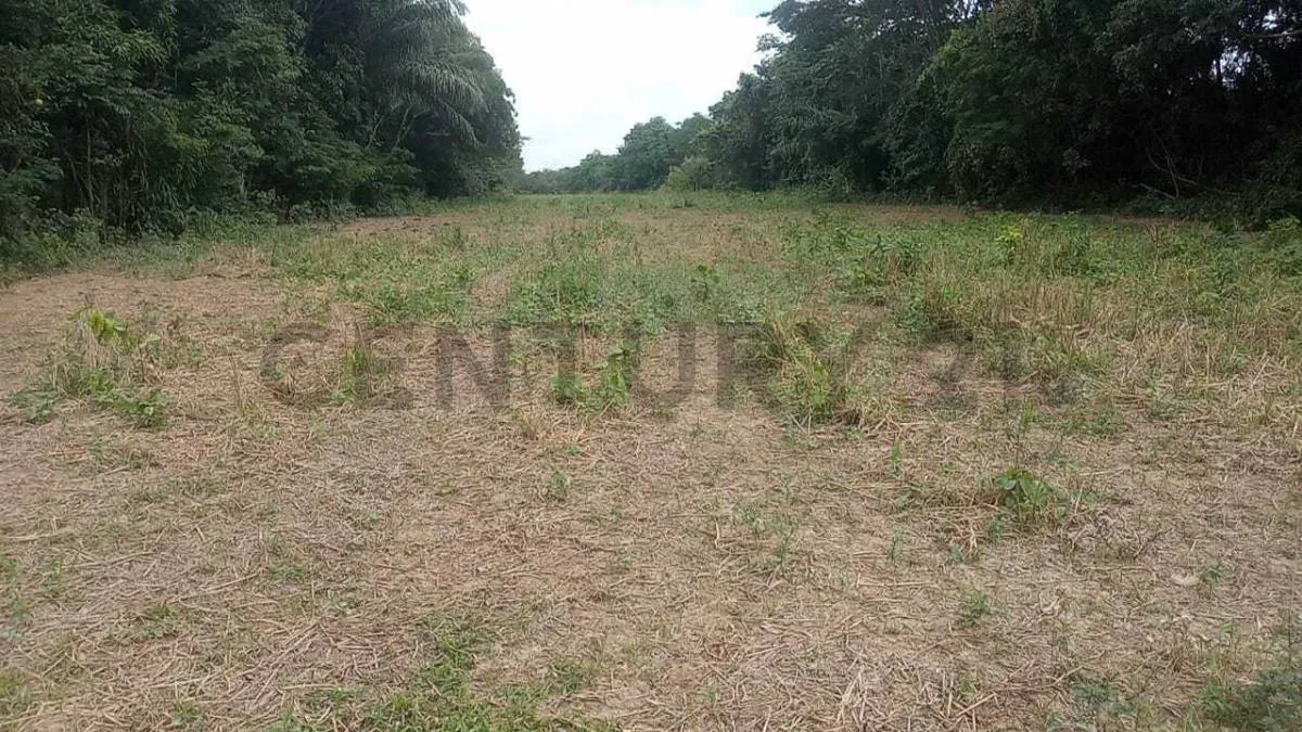 Foto 2 de 45 Hectareas para Producir, Crecer e Invertir