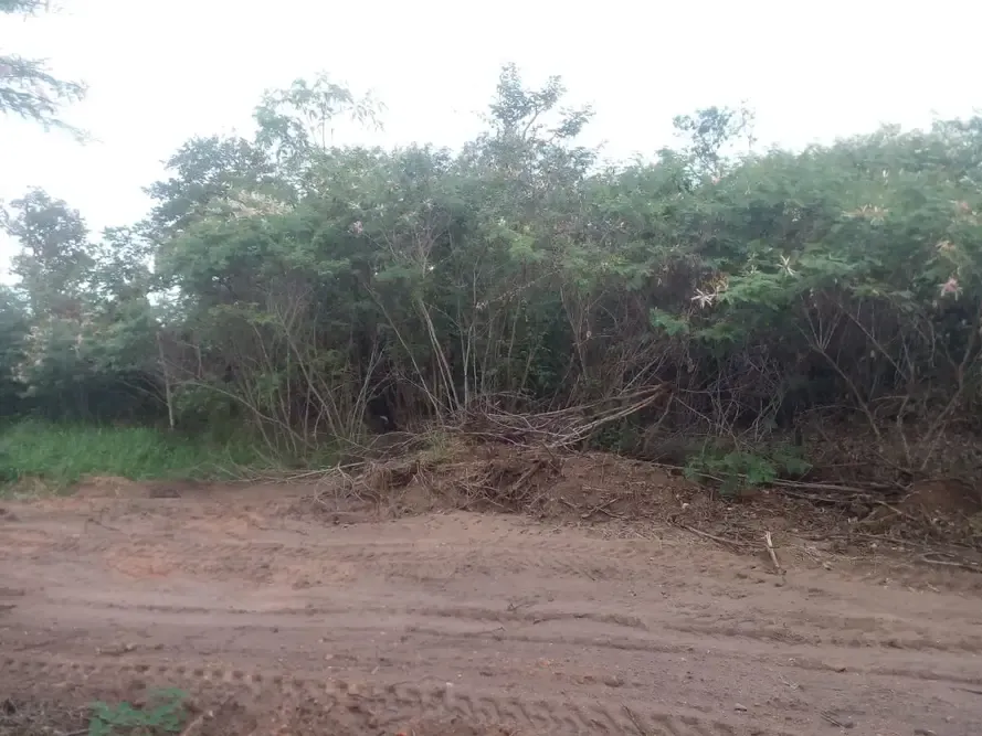 Foto 5 de Inversión Segura en Robore – Aguas Calientes