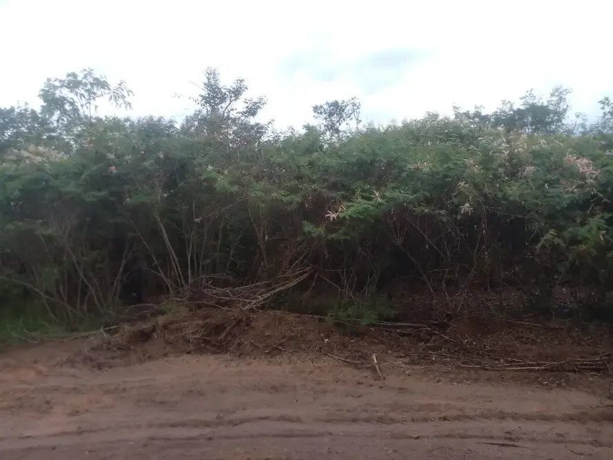 Foto 4 de Inversión Segura en Robore – Aguas Calientes