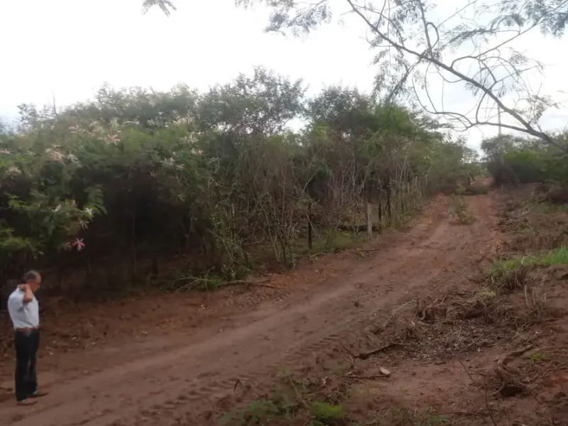 Foto 6 de Inversión Segura en Robore – Aguas Calientes