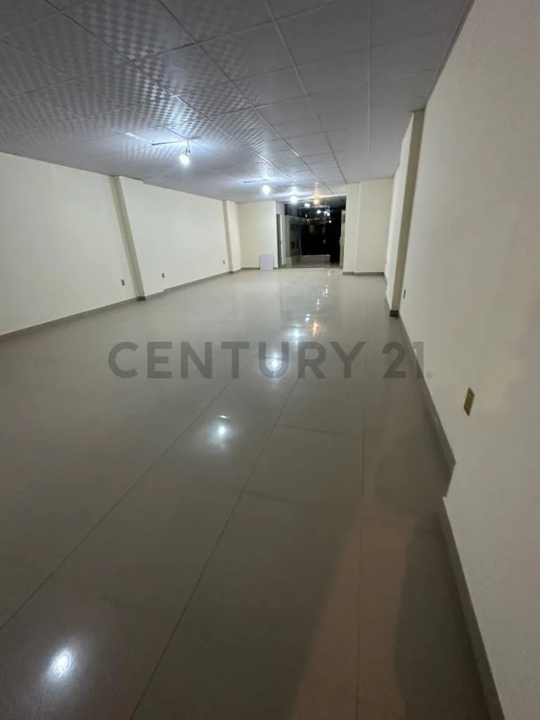 Foto 6 de Local Comercial a la Venta