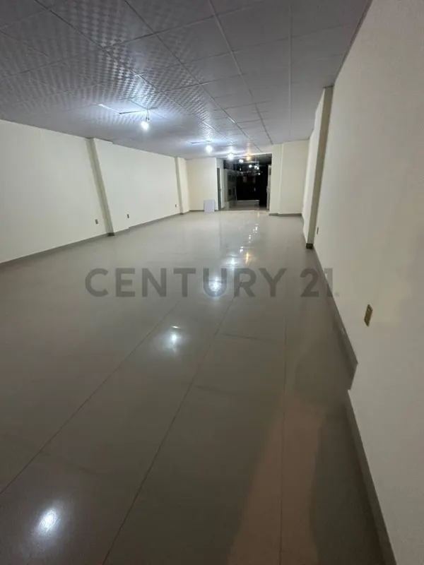 Foto 6 de Local Comercial a la Venta