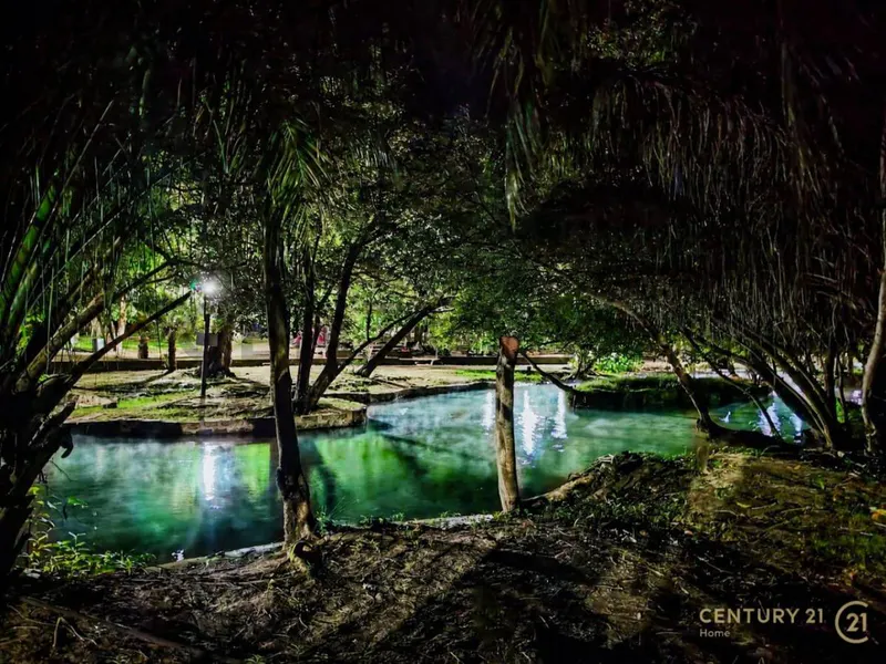 Foto 8 de Terreno de 13 Hectareas en Venta en Aguas Calientes