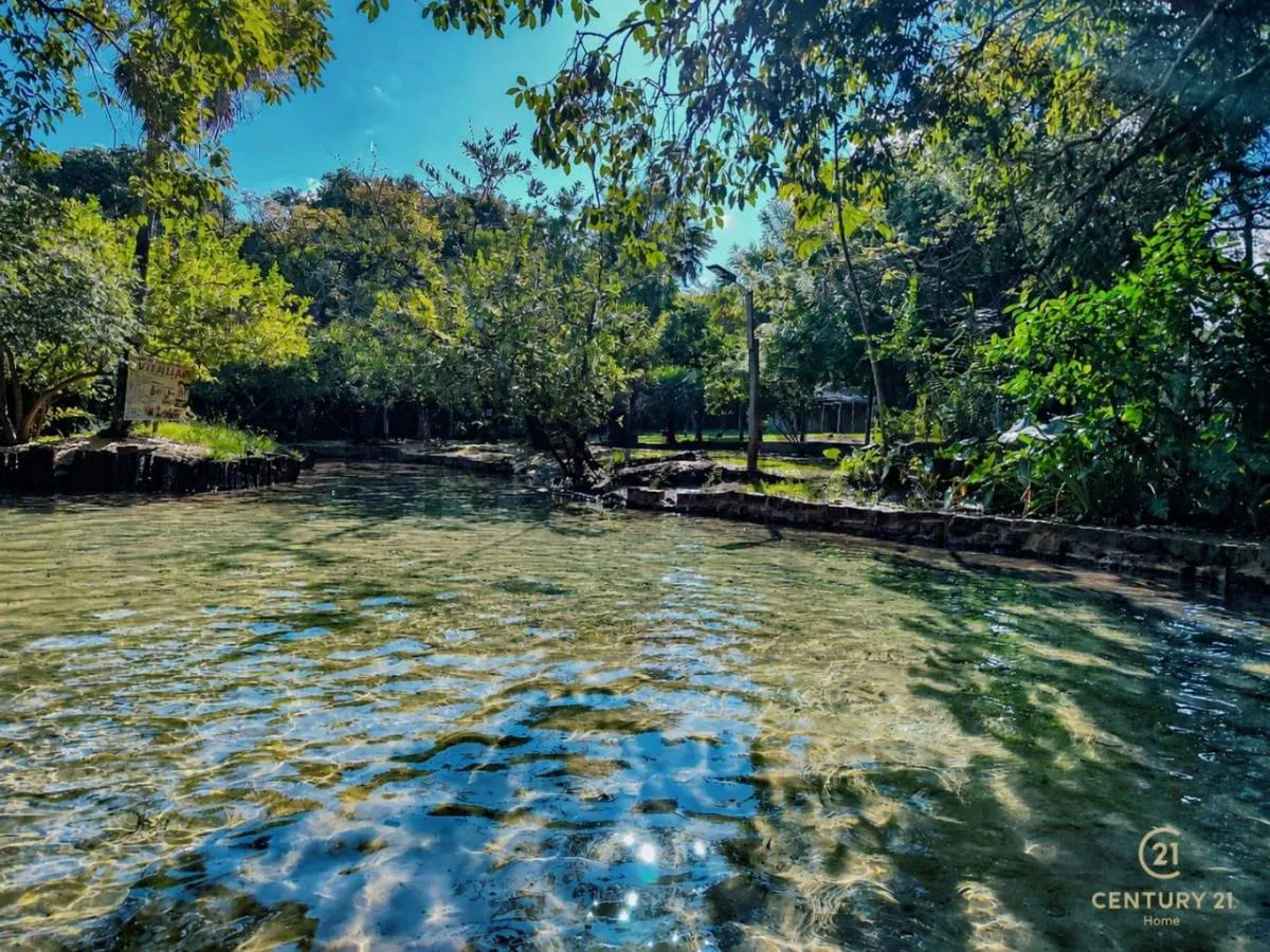 Foto 6 de Terreno de 13 Hectareas en Venta en Aguas Calientes