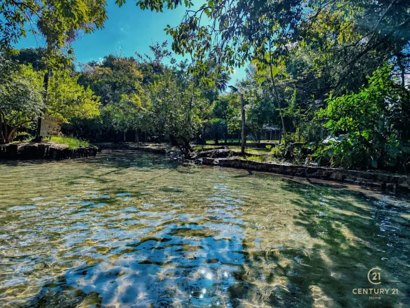 Foto 6 de Terreno de 13 Hectareas en Venta en Aguas Calientes