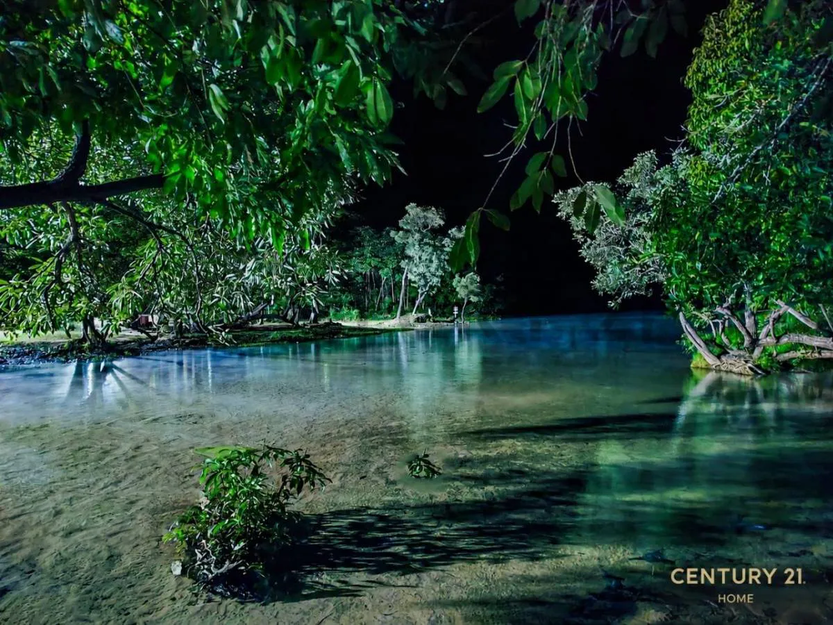 Foto 5 de Terreno de 13 Hectareas en Venta en Aguas Calientes
