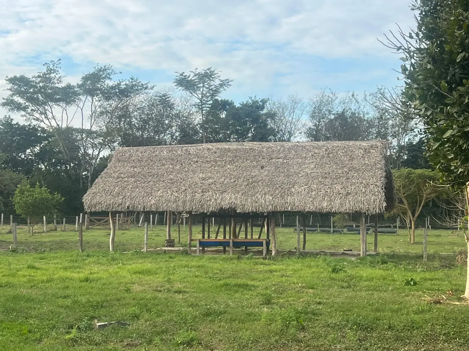 Foto 2 de En Venta | Propiedad Rural en Buena Vista