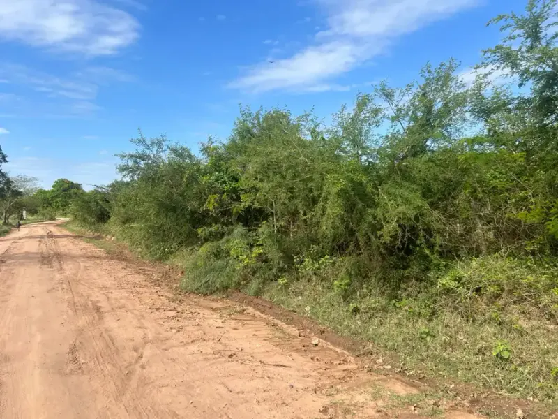Foto 11 de TITULO: Propiedad de 51.000 m² en Cotoca, ideal para inversión y uso productivo