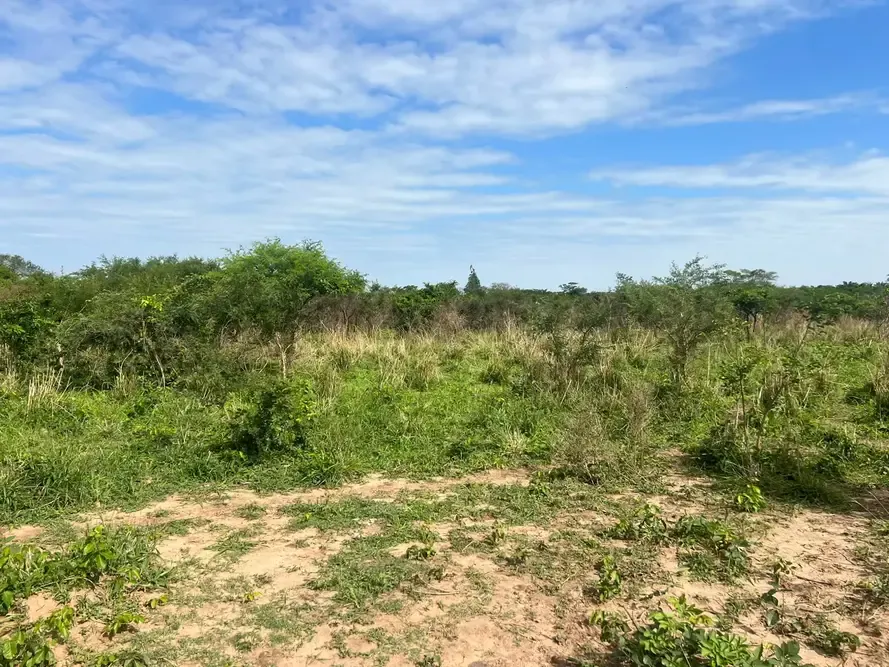 Foto 10 de TITULO: Propiedad de 51.000 m² en Cotoca, ideal para inversión y uso productivo