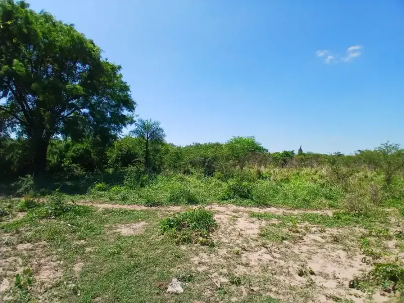 Foto 14 de TITULO: Propiedad de 51.000 m² en Cotoca, ideal para inversión y uso productivo