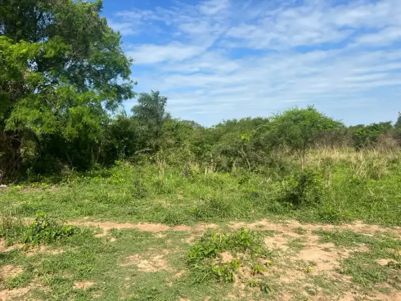 Foto 6 de TITULO: Propiedad de 51.000 m² en Cotoca, ideal para inversión y uso productivo