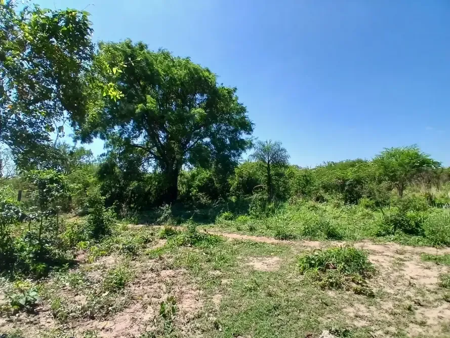 Foto 16 de TITULO: Propiedad de 51.000 m² en Cotoca, ideal para inversión y uso productivo