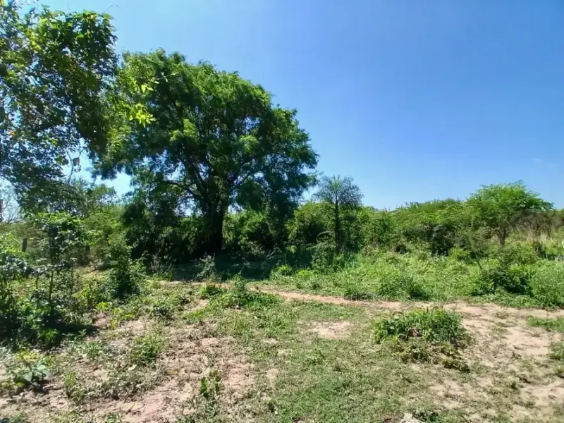Foto 16 de TITULO: Propiedad de 51.000 m² en Cotoca, ideal para inversión y uso productivo