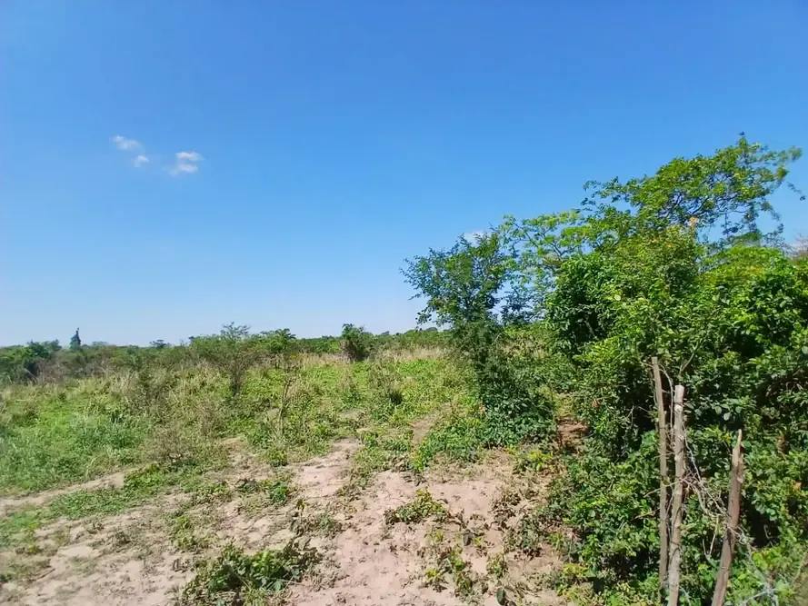 Foto 15 de TITULO: Propiedad de 51.000 m² en Cotoca, ideal para inversión y uso productivo