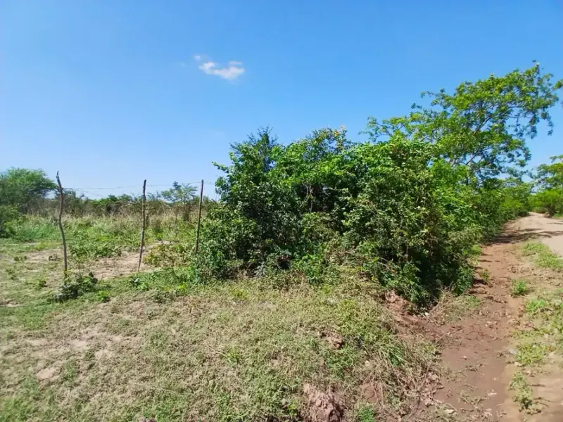 Foto 8 de TITULO: Propiedad de 51.000 m² en Cotoca, ideal para inversión y uso productivo