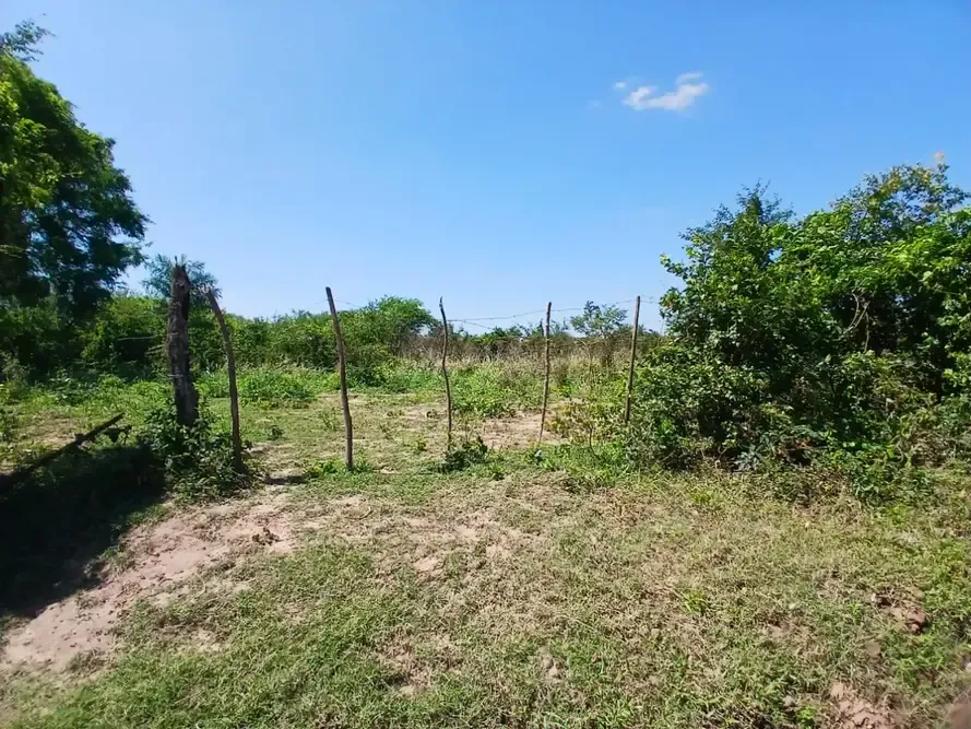 Foto 1 de TITULO: Propiedad de 51.000 m² en Cotoca, ideal para inversión y uso productivo