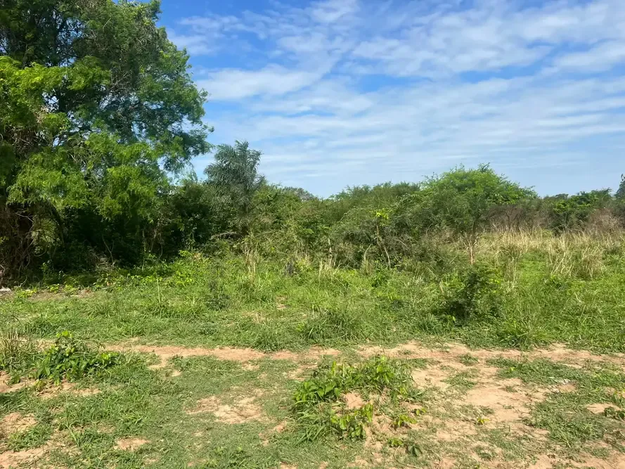 Foto 7 de TITULO: Propiedad de 51.000 m² en Cotoca, ideal para inversión y uso productivo