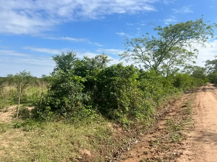 Foto 5 de TITULO: Propiedad de 51.000 m² en Cotoca, ideal para inversión y uso productivo