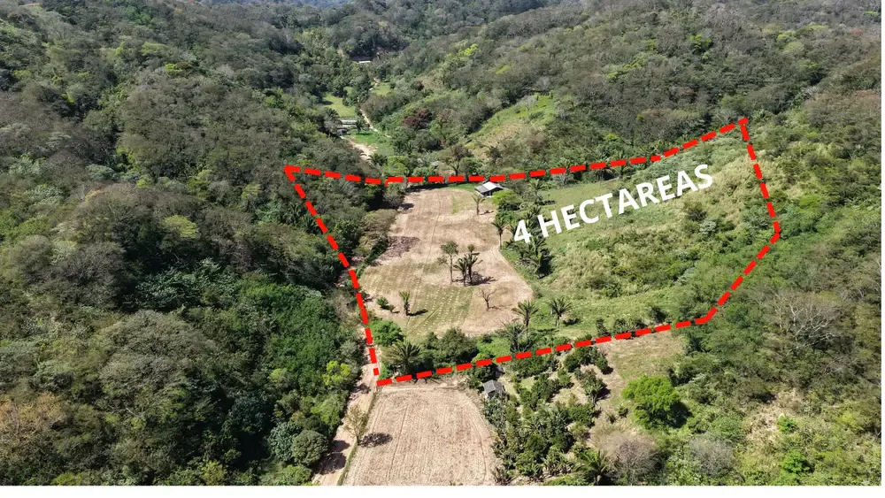 Foto 2 de Terreno en Venta Municipio del Torno