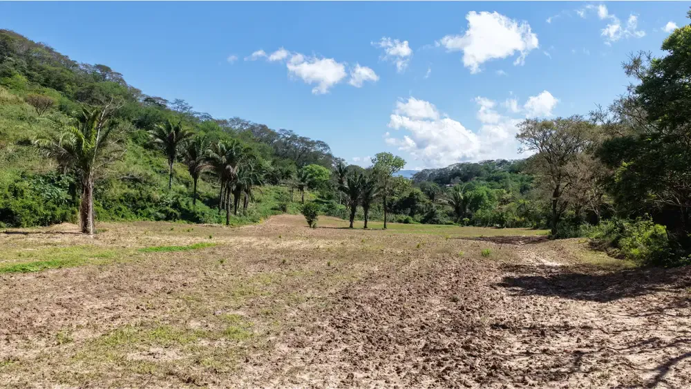 Foto 8 de Terreno en Venta Municipio del Torno