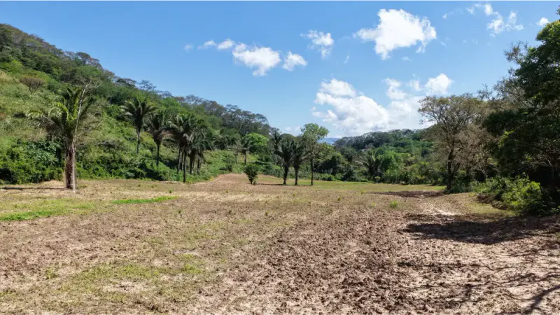 Foto 8 de Terreno en Venta Municipio del Torno