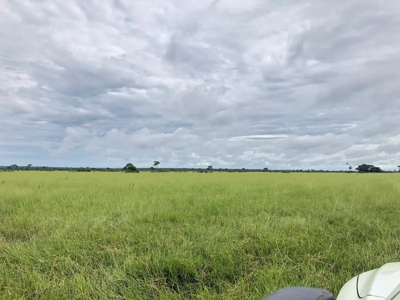 Foto 4 de En Venta: 13.720 Ganaderas Con Potencial Agrícola En Siv
