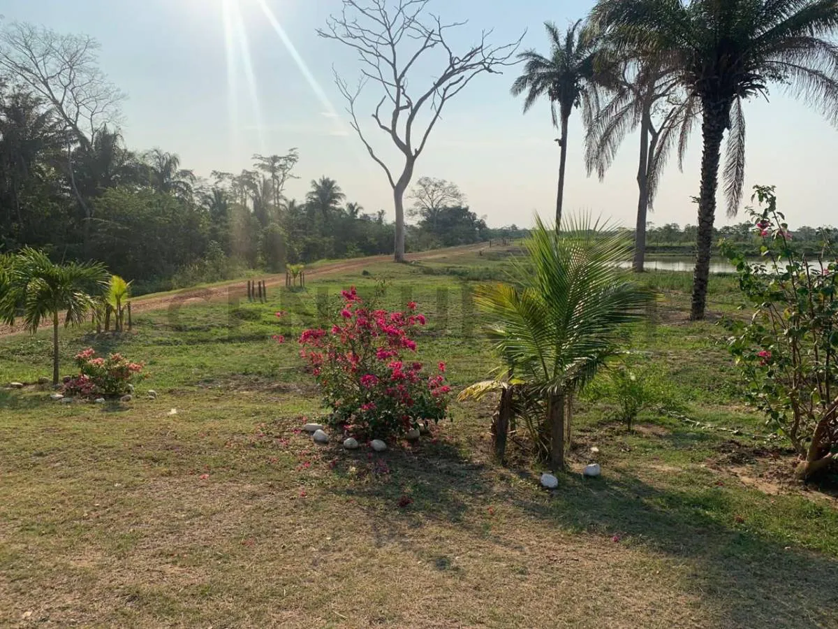 Foto 12 de Propiedad Agrícola ubicada entre el cerro y el punte de San Pablo