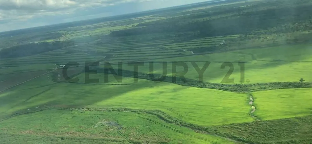 Foto 2 de Propiedad Agrícola ubicada entre el cerro y el punte de San Pablo