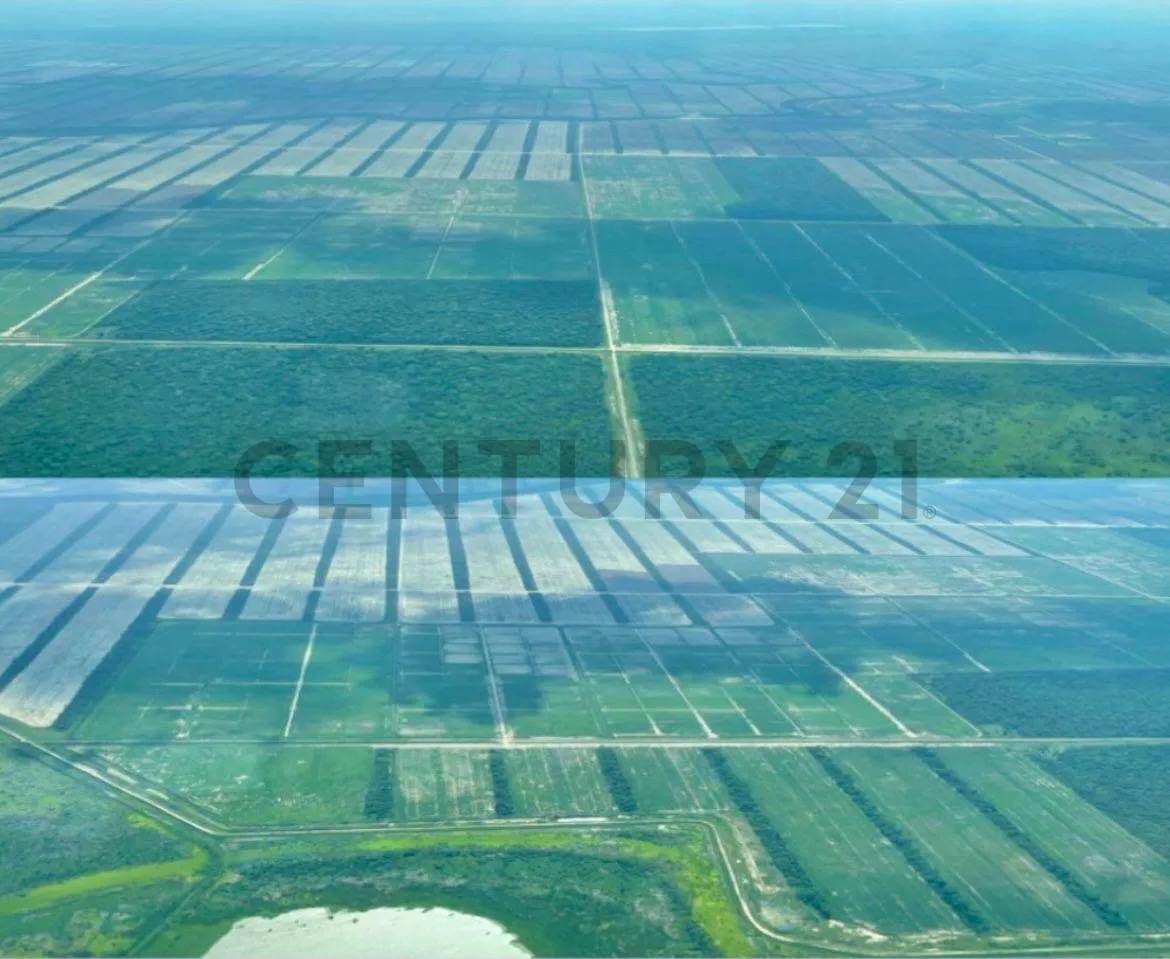 Foto 1 de Propiedad Agrícola ubicada entre el cerro y el punte de San Pablo