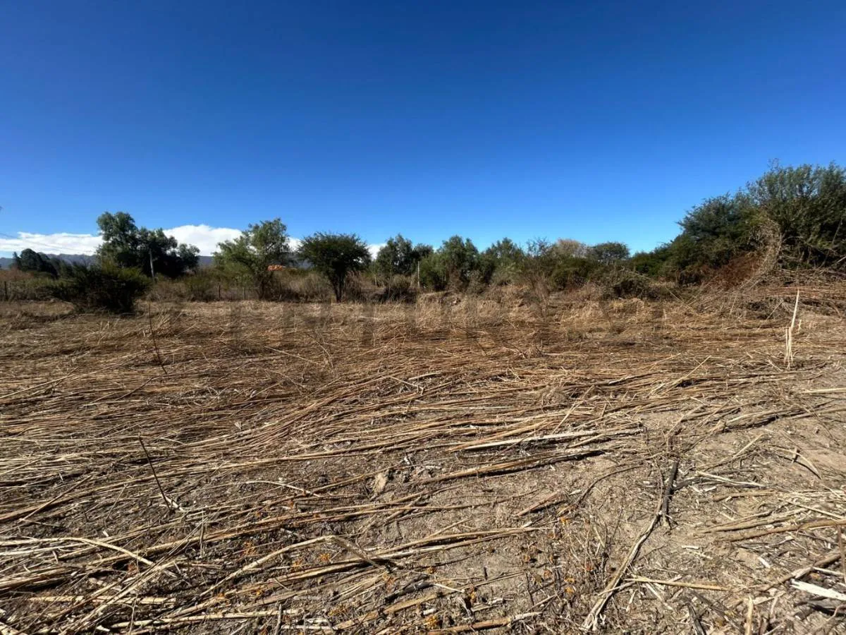 Foto 1 de Terreno en Venta en San Blas – Detras del Colegio La Salle - Alta Plusvalía