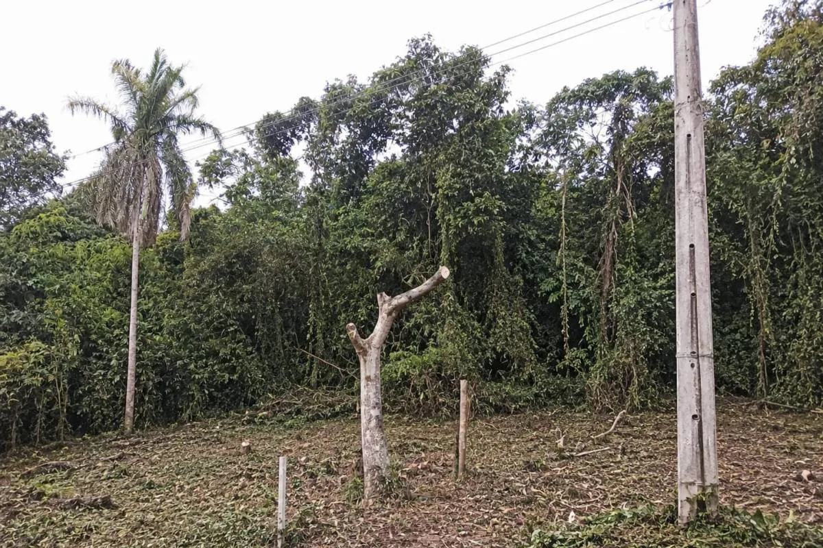 Foto 3 de Amplio terreno en venta en la Belgica