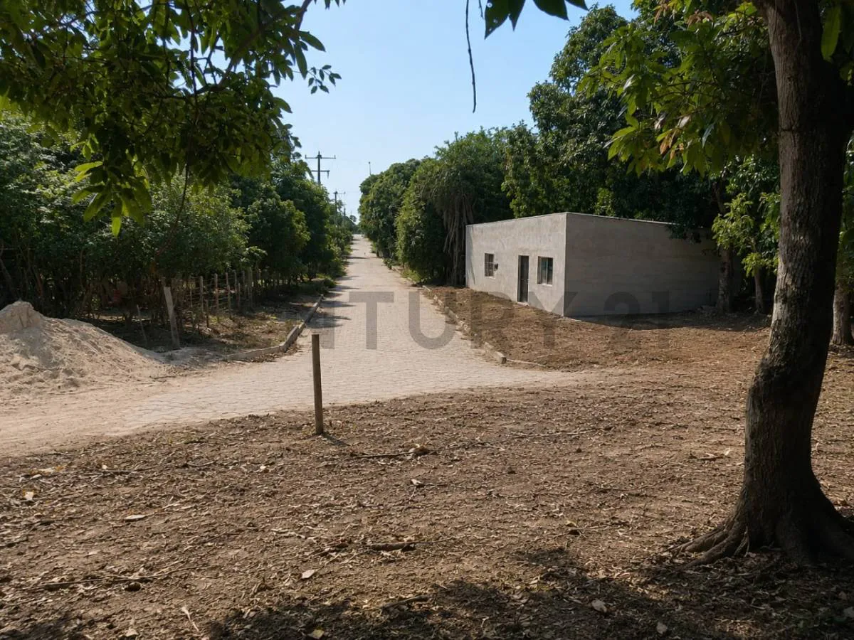 Foto 5 de Amplio terreno en venta en la Belgica