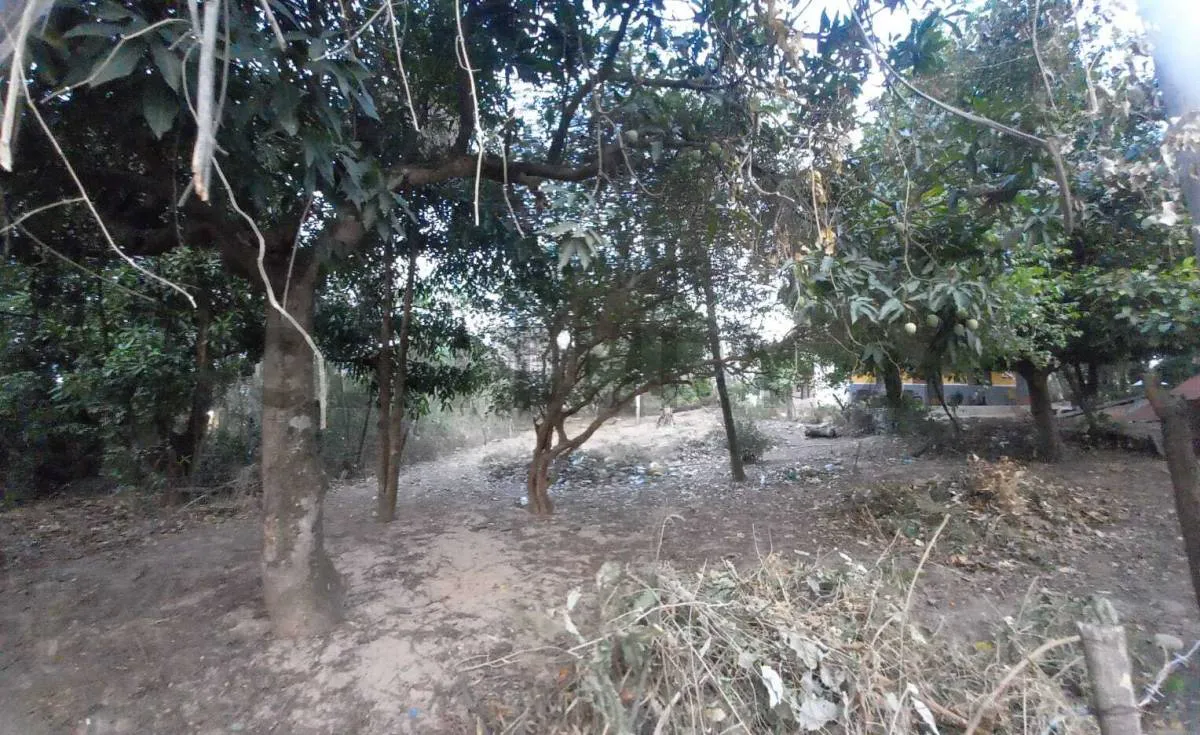 Foto 1 de Amplio terreno en venta en la Belgica