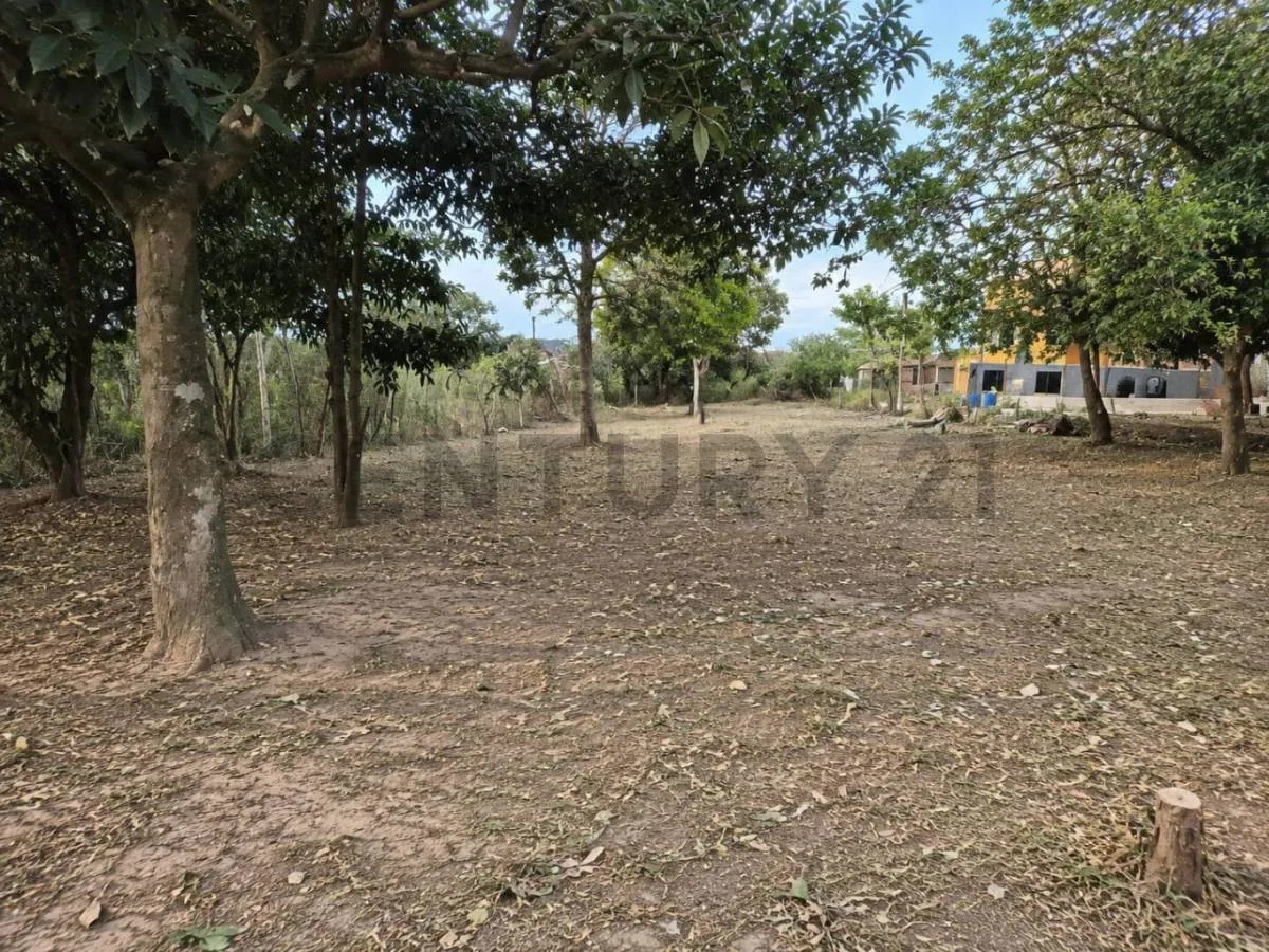 Foto 4 de Amplio terreno en venta en la Belgica