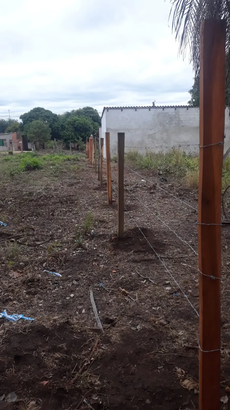 Foto 3 de Terreno en Venta robore a 4 cuadras de la Plaza Principal