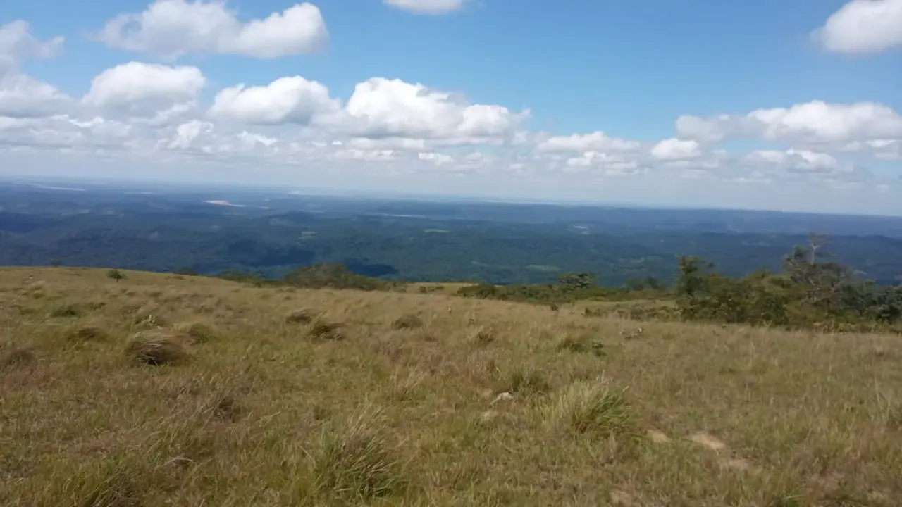 Foto 5 de Linda Propiedad En Altura De 90ha, A 30mn Del Torno.