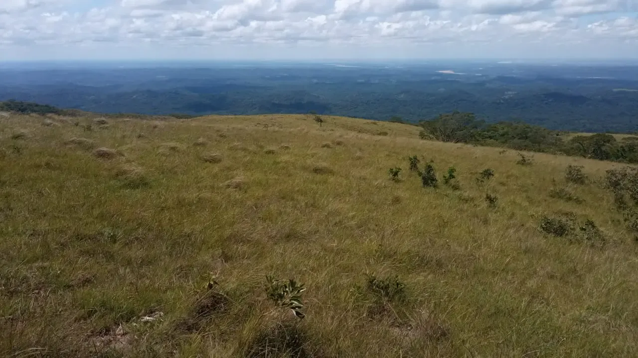 Foto 4 de Linda Propiedad En Altura De 90ha, A 30mn Del Torno.