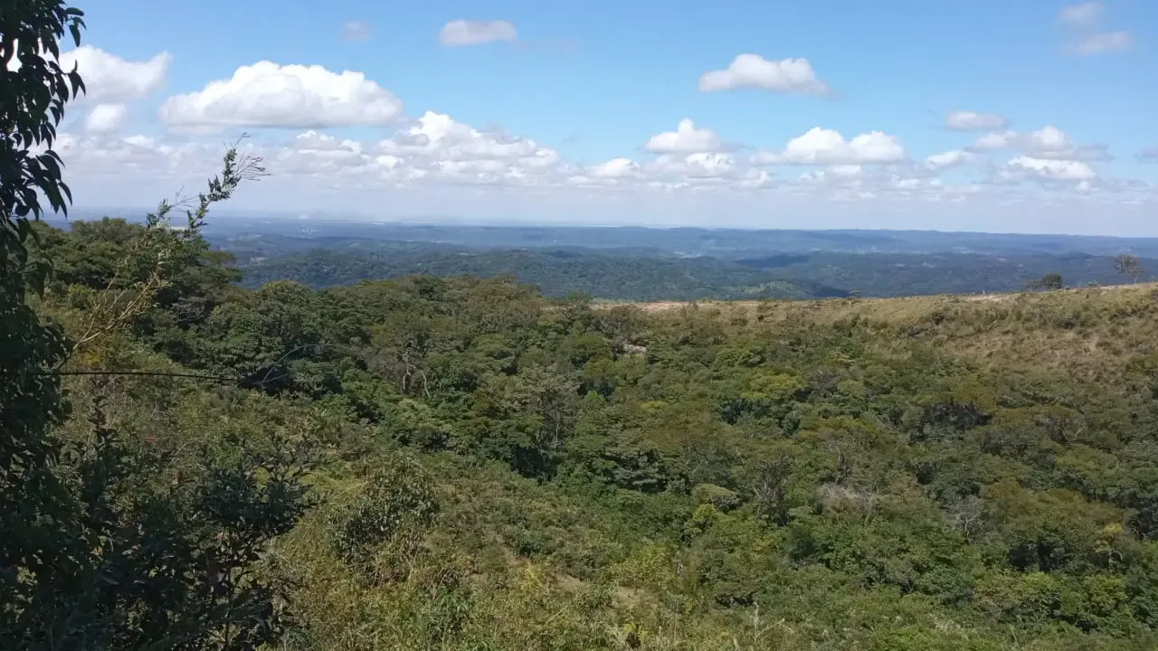 Foto 1 de Linda Propiedad En Altura De 90ha, A 30mn Del Torno.