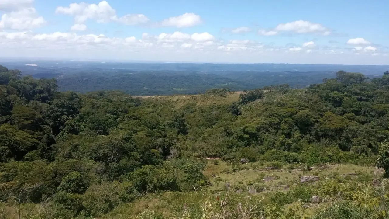 Foto 2 de Linda Propiedad En Altura De 90ha, A 30mn Del Torno.