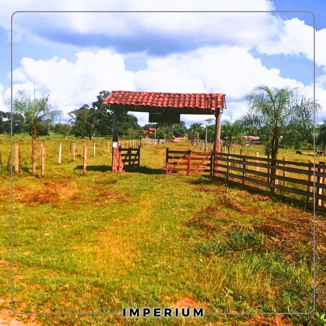 Foto 2 de Propiedad en Venta en San Ignacio de Velasco