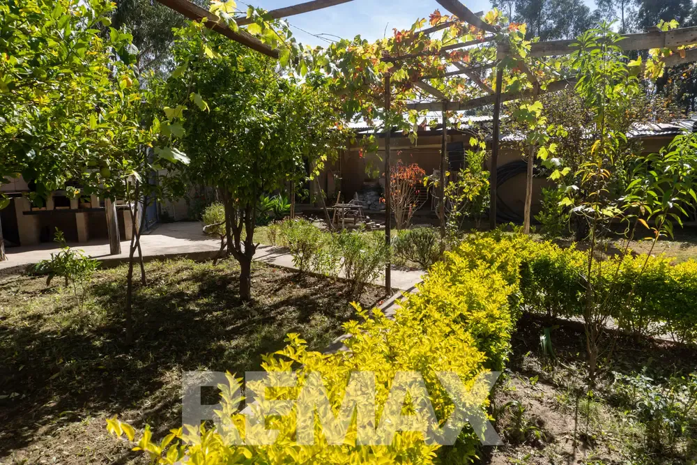 Foto 3 de Propiedad Agricola en Villa Cabot, Angostura - Ideal para Casa de Campo o Complejo Turistico