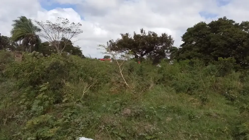 Foto 1 de Terreno en Venta Zona Este