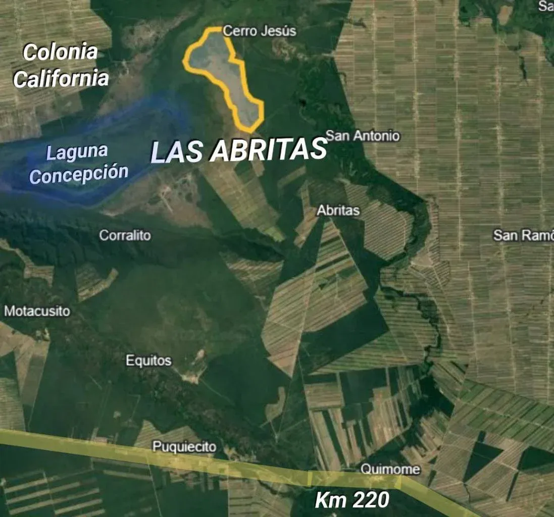 Foto 2 de Propiedad Ganadera en venta en Laguna Concepción de 1535 hectáreas