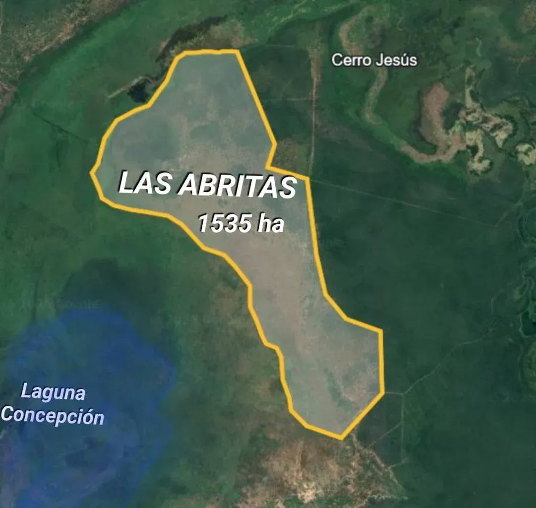 Foto 4 de Propiedad Ganadera en venta en Laguna Concepción de 1535 hectáreas