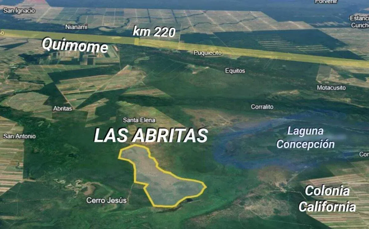 Foto 3 de Propiedad Ganadera en venta en Laguna Concepción de 1535 hectáreas