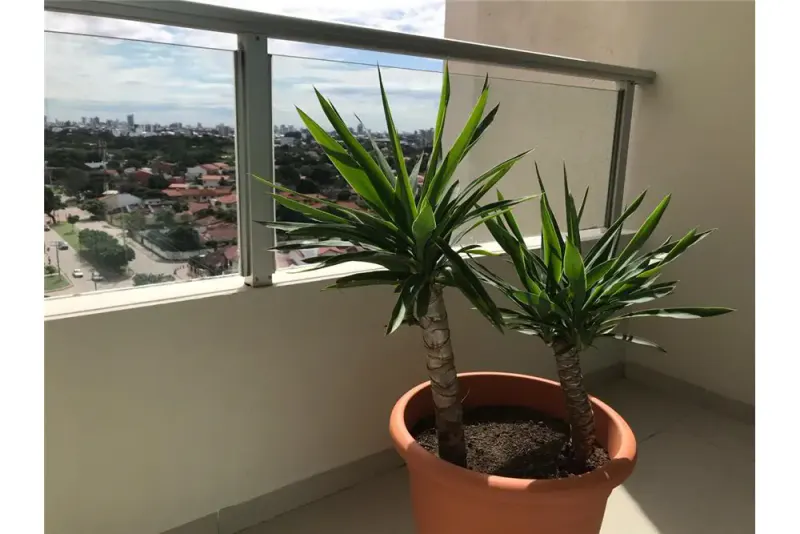 Foto 11 de 🏙️✨ Departamentos en Venta en Torre Barcelona – Confort, Seguridad y Excelente Ubicación Sobre Radial 10