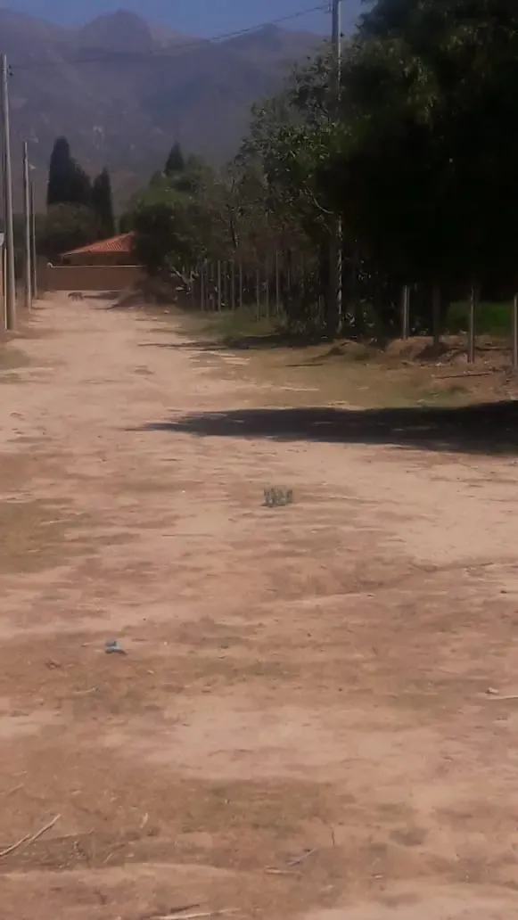 Foto 1 de lote en venta en sipe sipe a dos cuadras del balneario "EL VERGEL"