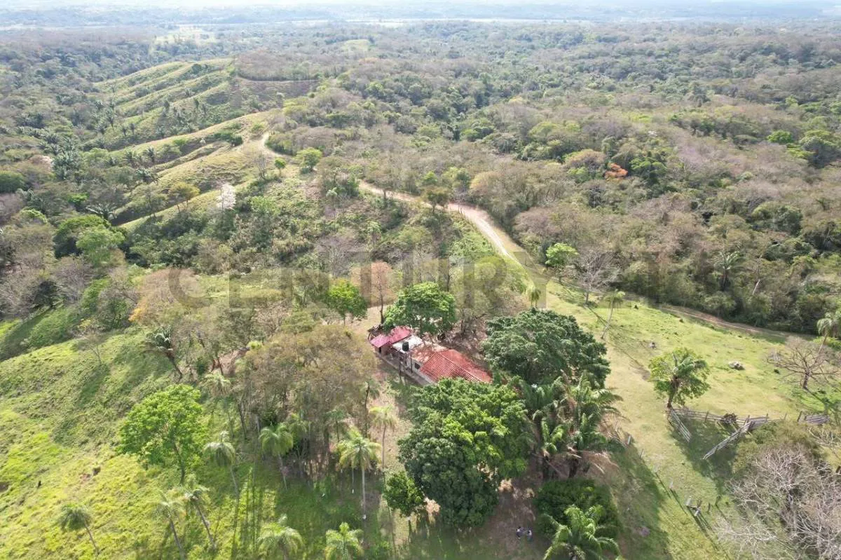 Foto 4 de Propiedad Ganadera en Venta | Colpa Bélgica