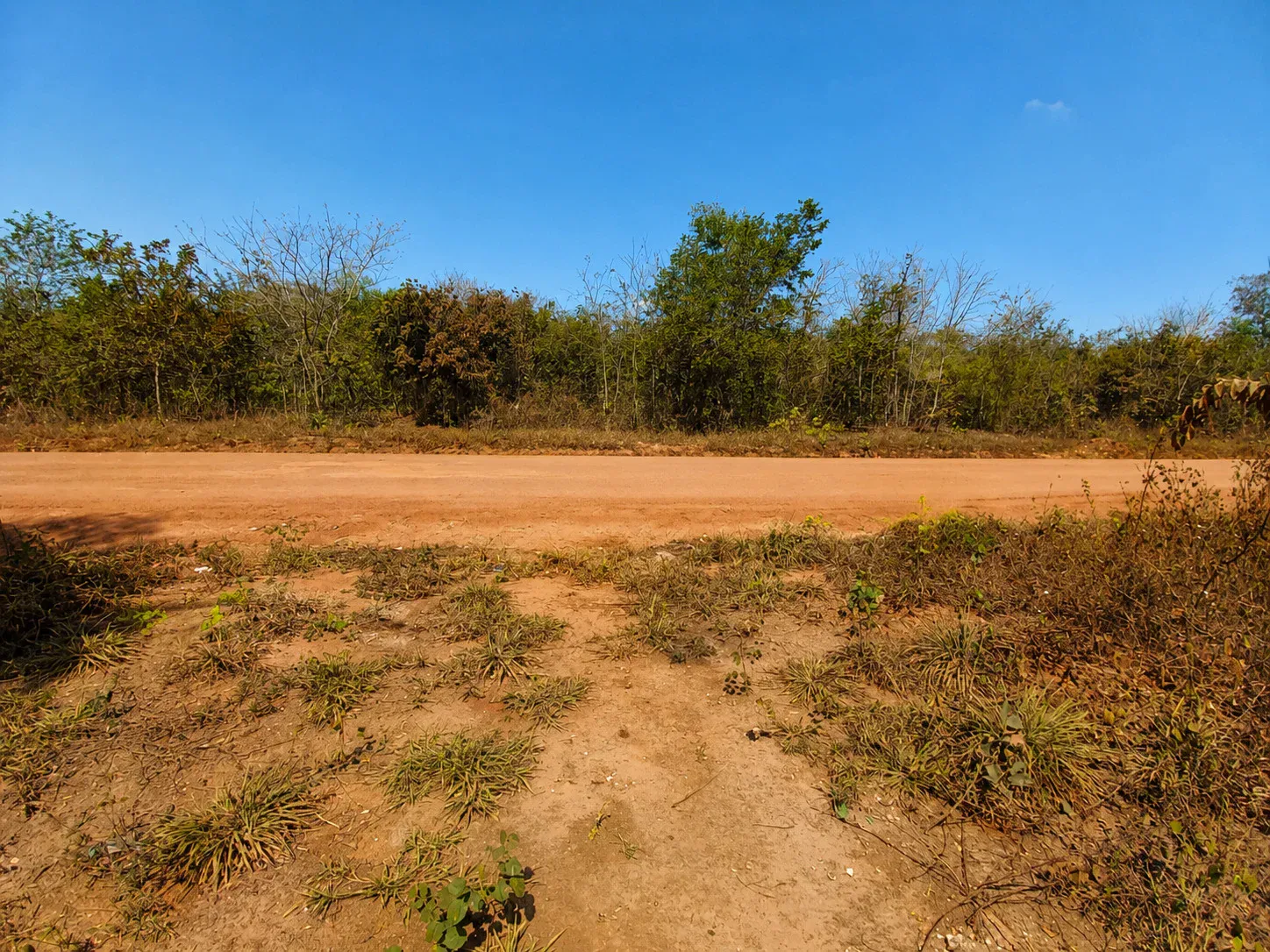 Foto 4 de Terrenos Amplios en San Vicente Frontera Brasil
