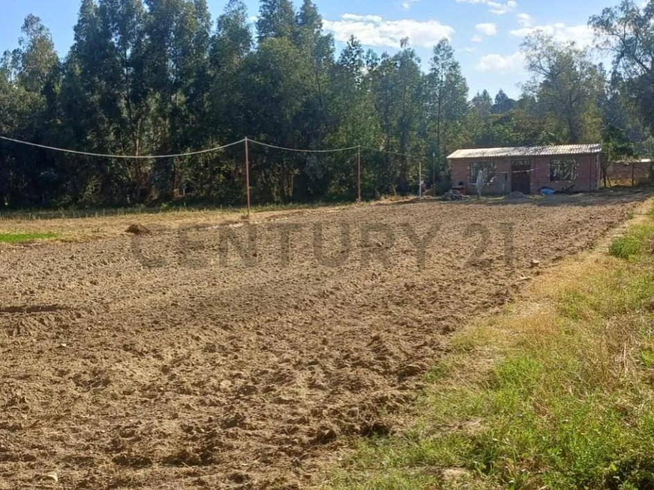 Foto 3 de Terreno en Venta